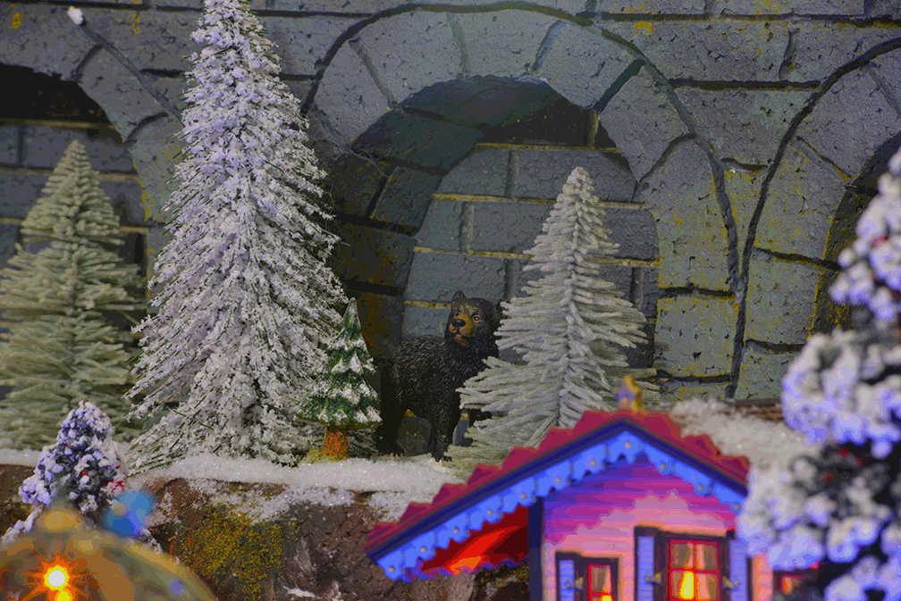 bear